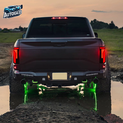 Autoglo Australia Tail Lights for Ford F-150 2015–2021